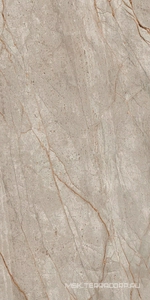 Керамогранит для пола и стены AtlasConcorde Россия EMPIRE Empire Silver Root 60x120/ЭМПАИР СИЛЬВЕР РУТ 60x120 610010002187