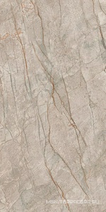 Керамогранит для пола и стены AtlasConcorde Россия EMPIRE Empire Silver Root 60x120/ЭМПАИР СИЛЬВЕР РУТ 60x120 610010002187