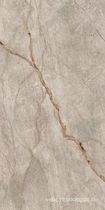 Керамогранит для пола и стены AtlasConcorde Россия EMPIRE Empire Silver Root 60x120/ЭМПАИР СИЛЬВЕР РУТ 60x120 610010002187