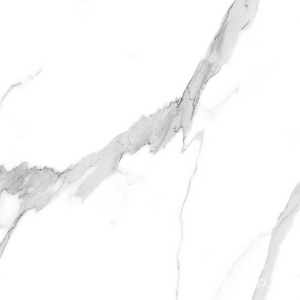 Керамогранит для пола FAP Ceramiche roma  Statuario Matt RT I60x60 Серый fLRE