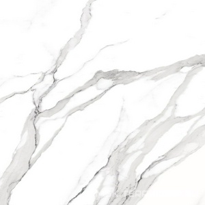 Керамогранит для пола FAP Ceramiche roma  Statuario Matt RT I60x60 Серый fLRE