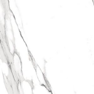 Керамогранит для пола FAP Ceramiche roma  Statuario Matt RT I60x60 Серый fLRE