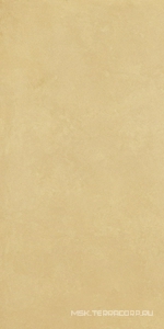 Керамогранит для пола и стены Imola Retina RTN6 SENAP12 RM 60x120 182758