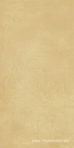 Керамогранит для пола и стены Imola Retina RTN6 SENAP12 RM 60x120 182758