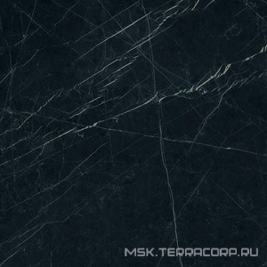 Керамогранит для пола и стены Ariostea Ultra Marmi Nero Marquinia Lev Silk 6 мм ZZ150x150 UM6SK150547