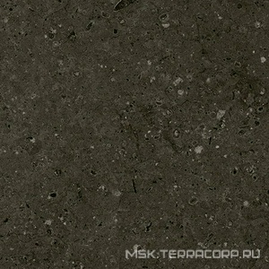 Керамогранит для пола Гранитея arkaim/аркаим Arkaim Black G215/ черный мат . 60x60 Черный G215MR