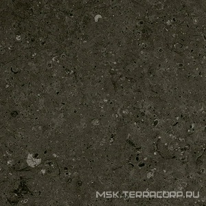 Керамогранит для пола Гранитея arkaim/аркаим Arkaim Black G215/ черный мат . 60x60 Черный G215MR