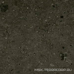 Керамогранит для пола Гранитея arkaim/аркаим Arkaim Black G215/ черный мат . 60x60 Черный G215MR