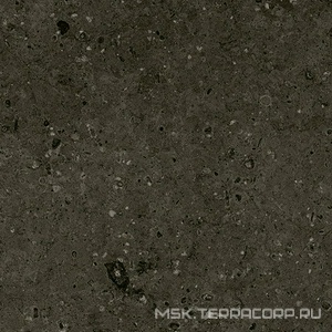 Керамогранит для пола Гранитея arkaim/аркаим Arkaim Black G215/ черный мат . 60x60 Черный G215MR