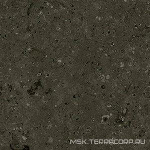 Керамогранит для пола Гранитея arkaim/аркаим Arkaim Black G215/ черный мат . 60x60 Черный G215MR