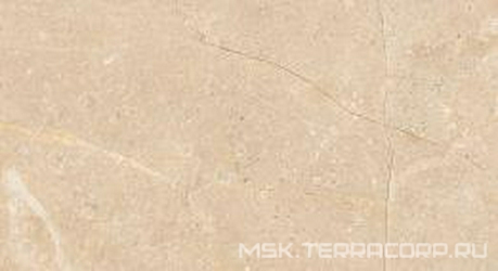 House Crema XX |32.5x60