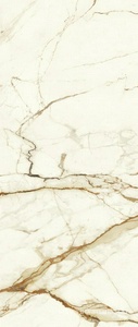 Керамогранит для пола и стены Atlas Concorde Italy Marvel Shine Marvel Calacatta Imperiale 120x278 Lappato A4O1