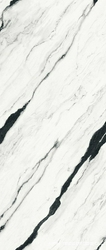 Panda White B Lap. XX|120x278