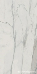 Statuario Polished XX 60х120