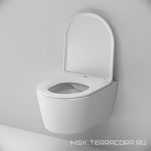 Подвесной унитаз c крышкой-сиденьем микролифт, белый AMPM FUNC C8F1700SC