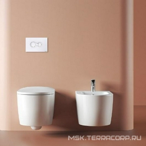 Клавиша двойного смыва, для инсталляции д/унитаза, (пластик цв.белый),  ArtСeram Monet 701.000.05