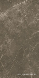 Керамическая плитка для стены FAP Ceramiche Roma  50  I mperiale Mat 50x120 fPP6