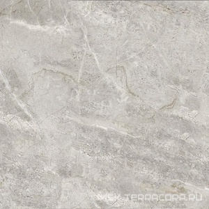 Керамогранит для пола и стены ProGRES Ceramica Matera  серый гранильXX 60х60 GSR0071