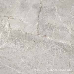 Керамогранит для пола и стены ProGRES Ceramica Matera  серый гранильXX 60х60 GSR0071