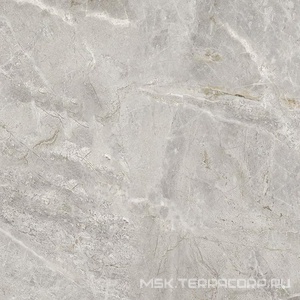 Керамогранит для пола и стены ProGRES Ceramica Matera  серый гранильXX 60х60 GSR0071