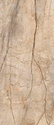 SAN PE6 278 LP  120x278
