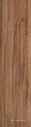 Etic Noce Hickory Tatami ZZ 22.5x90