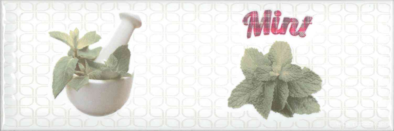 Decor Modern Herbs Mint XX |10x30