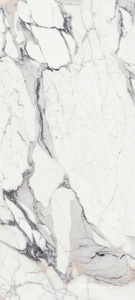 Керамогранит для пола и стены Florim Magnum Les Origines Les Origines Argent Glossy 120x280 769975