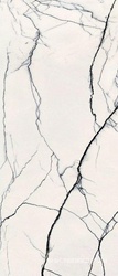 Керамогранит для пола и стены Florim Magnum B&W Marble Breach High-Glossy 120x280 765533