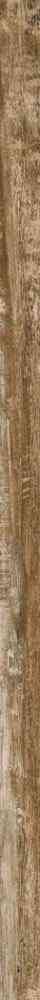 Listello Cortex Honey/3 ZZ |3x75