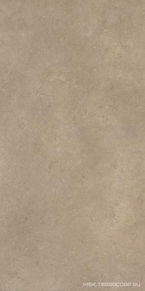 Serica Mud 60x120