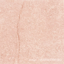 Shunut Brown G304/Шунут коричневый полированный 60x60