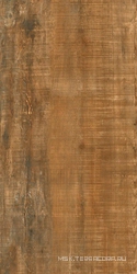 Гранит Вуд Эго Коричневый SR структурн XXZZ|60x120