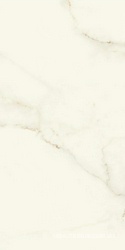 Marvel Calacatta Apuano Lappato  ZZ 60x120