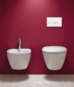 Клавиша двойного смыва для инсталляции, цвет белый ZZ Jacob Delafon Универсал E4326-00