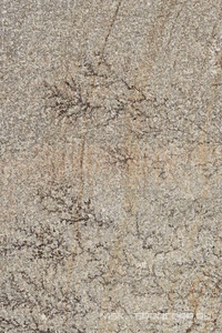 Керамогранит для пола Imola trail18 QUAR BIA18 23  KL 20x30 Бежевый 176408