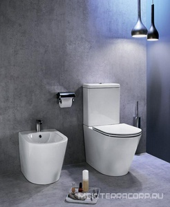 Чаша унитаза  , безободковый, БЕЗ крышки-сиденья и бачка Jacob Delafon Rodin+ UJAB102-00