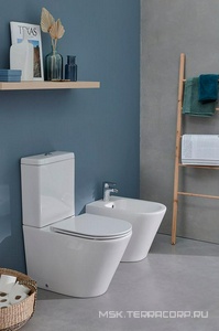 Чаша унитаза  , безободковый, БЕЗ крышки-сиденья и бачка Jacob Delafon Rodin+ UJAB102-00