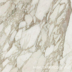 Calacatta Nat. XX |15x15