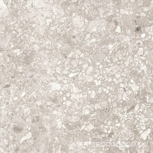 Керамогранит для пола и стены Alpas 2 CM Outdoor Terrazo Bianco 2 cm 60x60 n159128