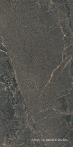 Керамогранит для пола и стены Lea Ceramiche Anthology   05 Dark Natural  60x120   LGXAL55