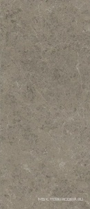 Керамогранит для пола и стены Atlas Concorde Italy Marvel Meraviglia  Grigio Elegante  6mm Lapp. 120x278 AJH5