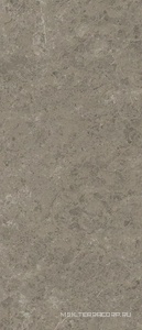 Керамогранит для пола и стены Atlas Concorde Italy Marvel Meraviglia  Grigio Elegante  6mm Lapp. 120x278 AJH5