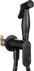 Смеситель совмещённый с гигиеническим душем, готовый комплект: лейка, шланг 120см., скрытая часть, (цв.черный матовый), Platta ZZ Swedbe platta 5567B