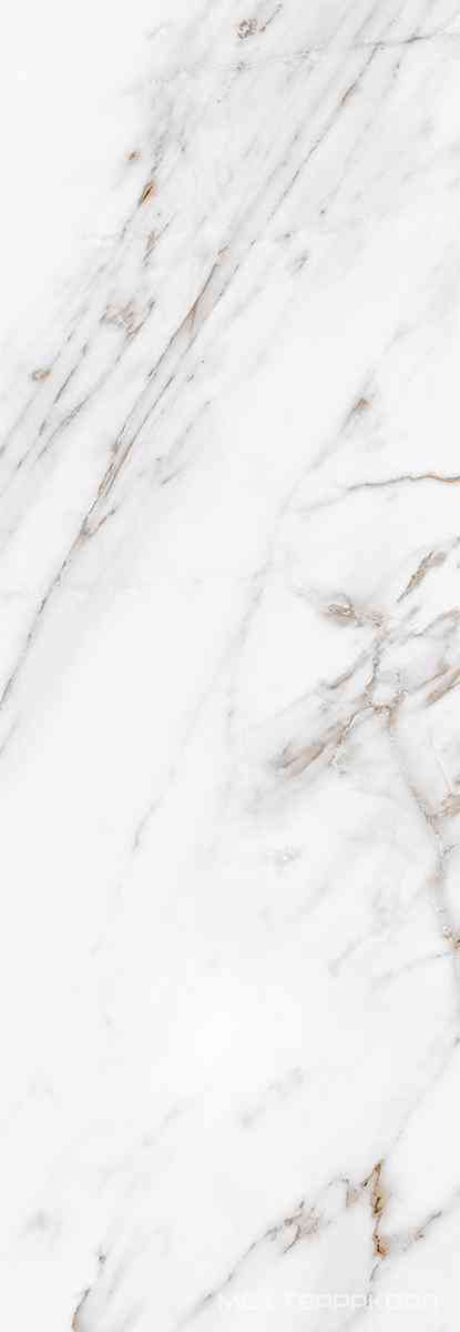 Calacatta Grey 24.2x70