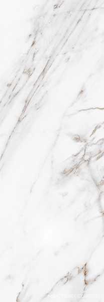 Calacatta Grey 24.2x70