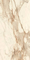 Allmarble Calacatta Vena Vecchia Rett. ZZ 75x150