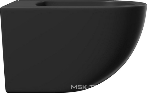 Биде подвесное 525х365мм, крепёж в компл., (цв.черный матовый),  ZZ Aqueduto Ovo OVO0340