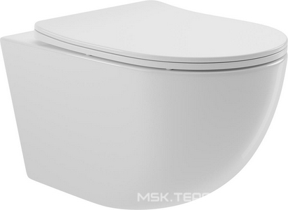 Компл.: унитаз подвесн.,безободк.,525х360мм,цв.белый глянц., сиденье с микролиф,,инстал. д/унит., крепёж, клавиша смыва Retangulo цв.белый гл.,  ZZ Aqueduto Ovo AQDS025