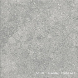 Fossil Gris 2 cm 60x60